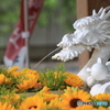 花手水