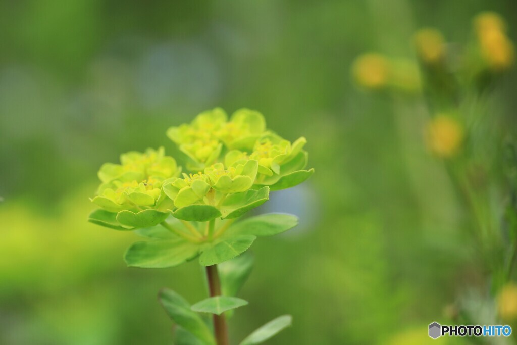 明るく照らして