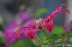 美しい心を持って