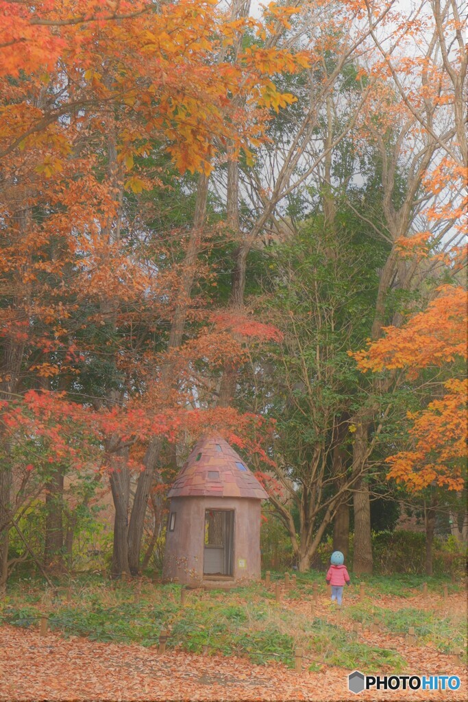 小人の森