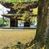 秋色の古刹