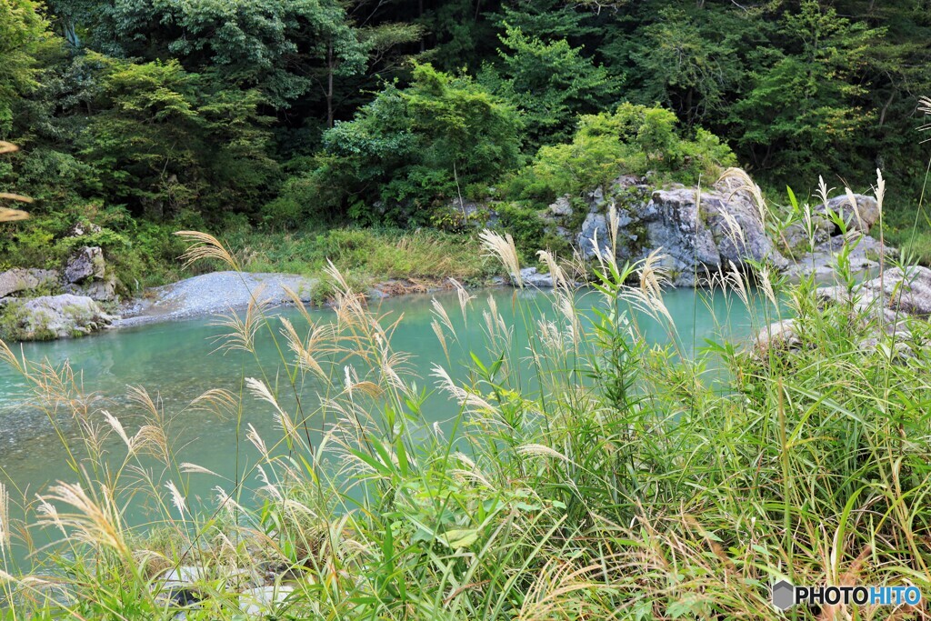 野路の秋Ⅱ