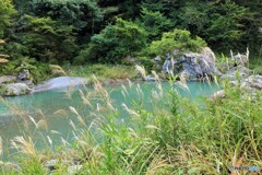 野路の秋Ⅱ