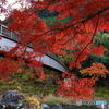 あの橋を渡る