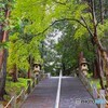 緑のトンネル