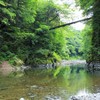 緑に染まる