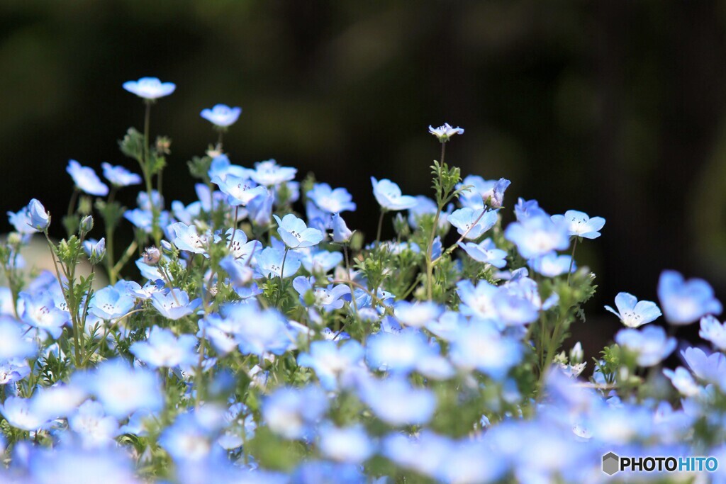 エールを送るⅡ