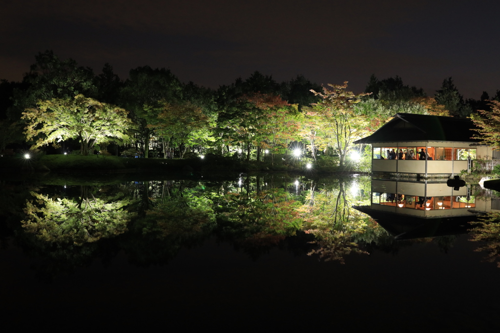 秋の夜散歩　日本庭園にて２