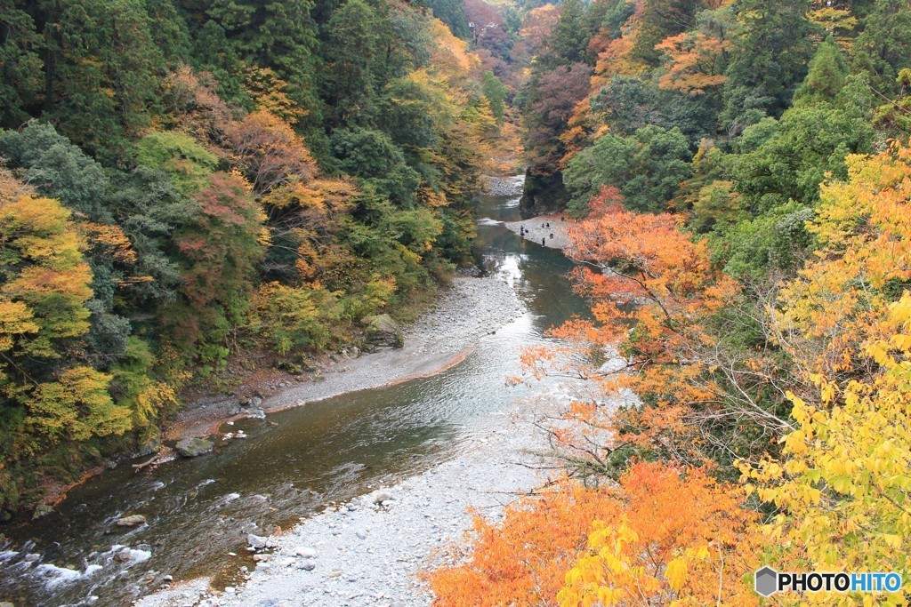 紅葉川