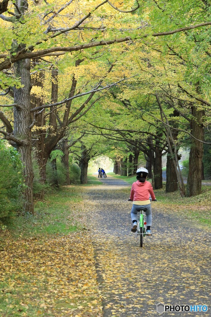 サイクリング