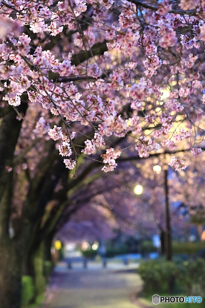 春の宵