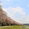春ららら