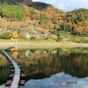 秋のダム湖