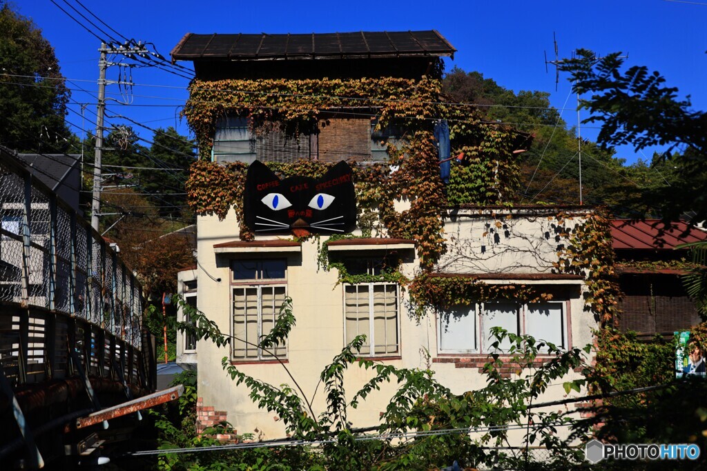 ニァンとも粋