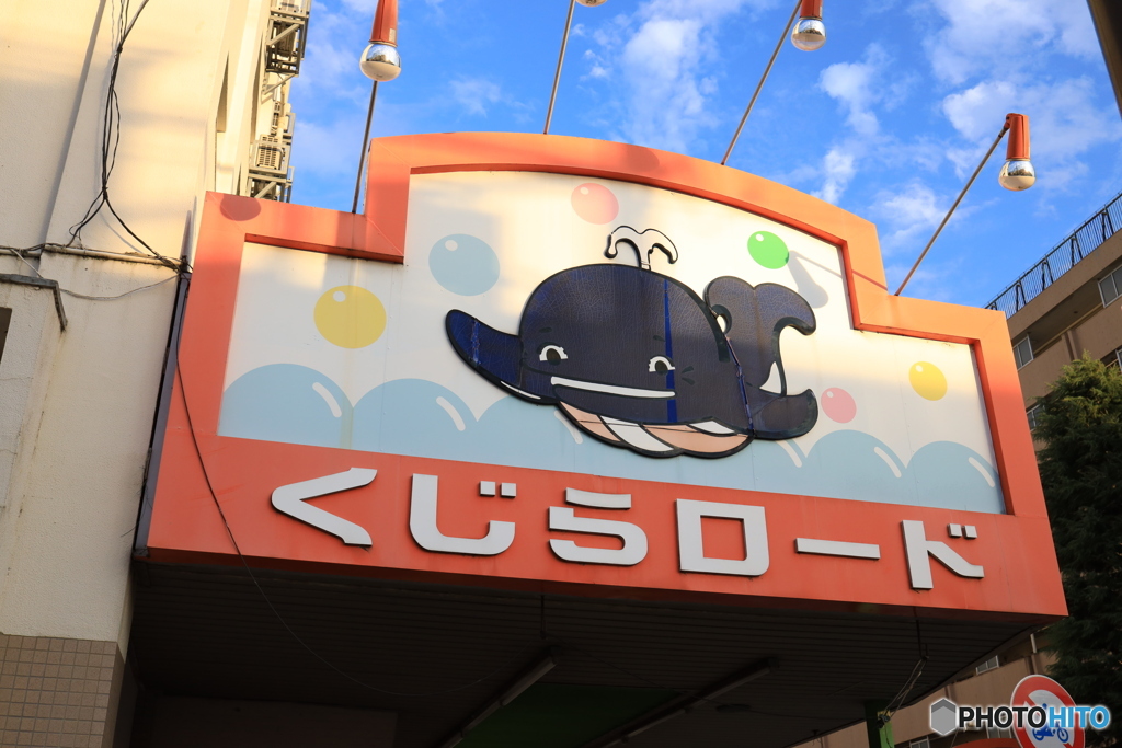 くじらロード