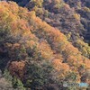 むかし道から