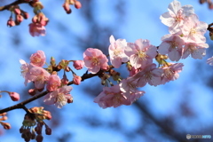 近所の公園にて