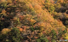少し前の風景
