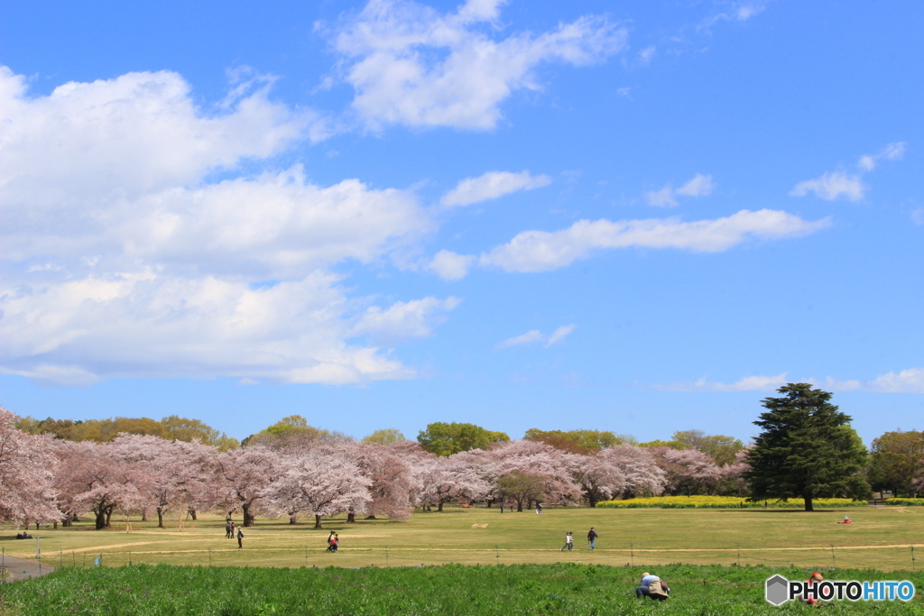 心なごむ・・・春の空