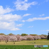 心なごむ・・・春の空