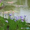 梅雨の風景