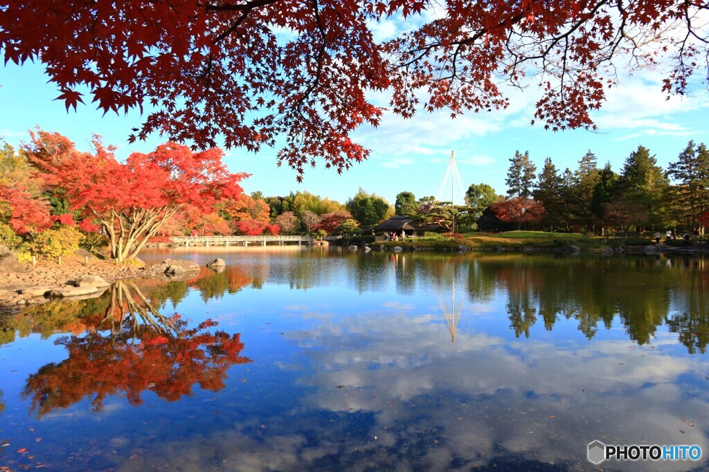 日本庭園の紅葉Ⅱ
