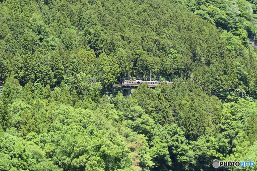 緑に包まれて