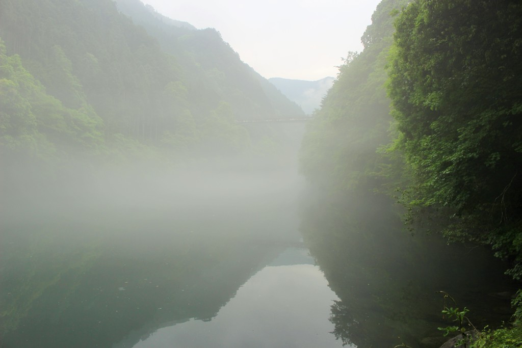 霧の湖面
