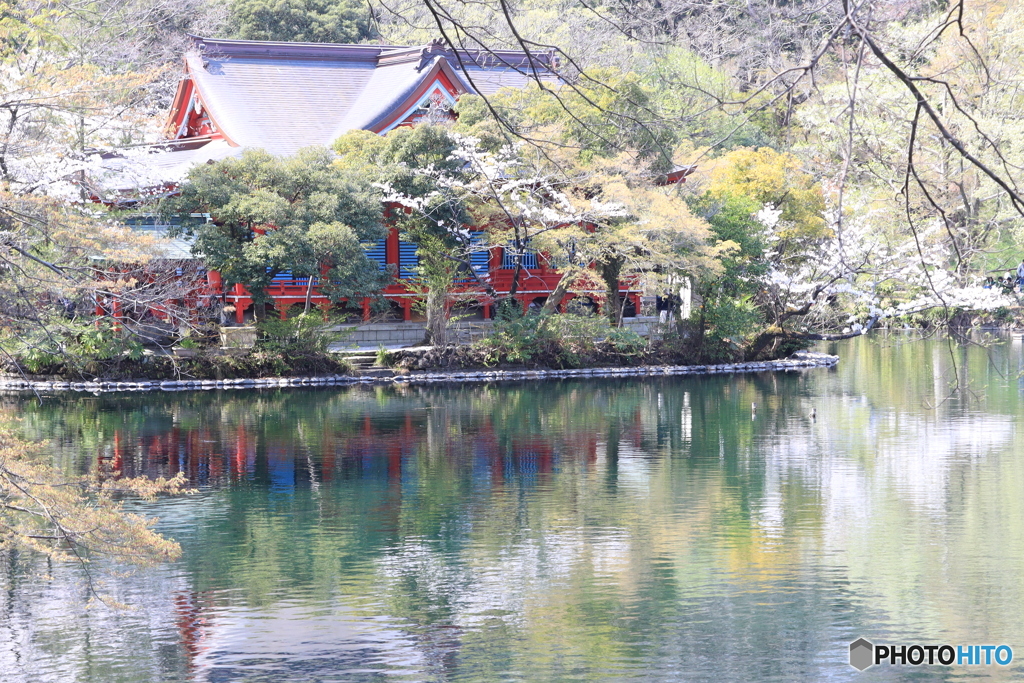 井の頭公園にて