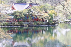 井の頭公園にて