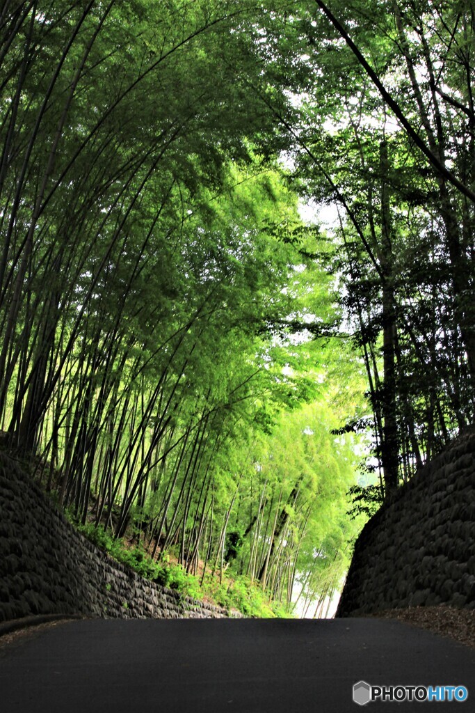 峠道