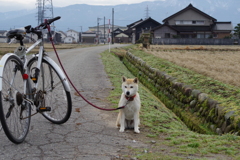 まて上手。