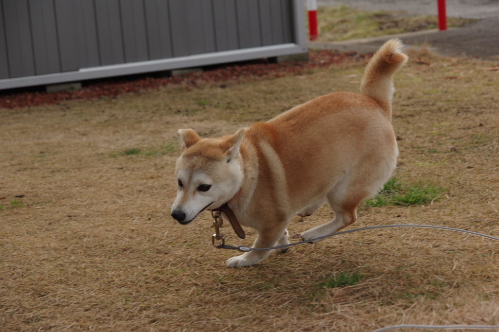友だち