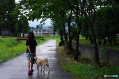 梅雨の散歩道