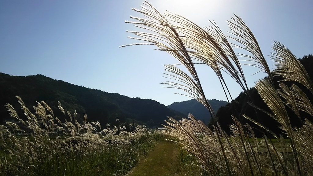 「風に吹かれて」