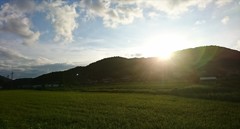 「夕暮れ散歩道」