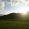 「夕暮れ散歩道」