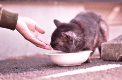 今日からともだち