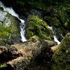大風川渓谷・鎮巌の滝