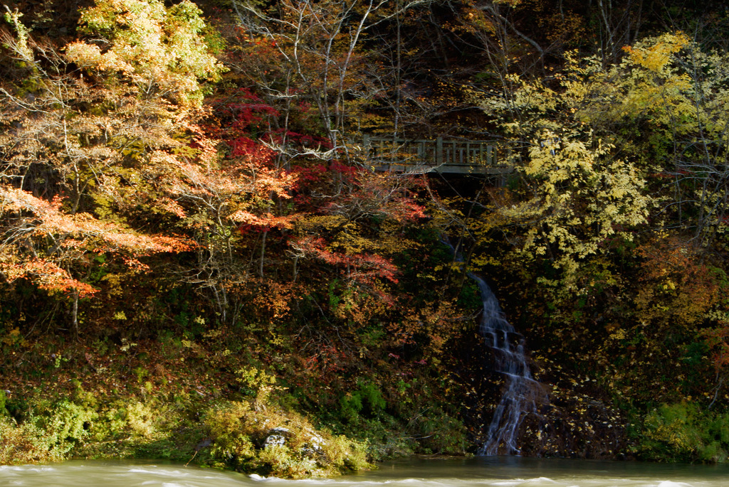 幻の滝と紅葉