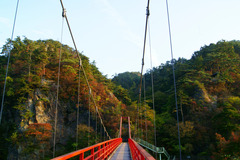秋のあゆのつり橋