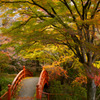 紅葉の月見橋