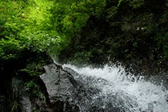 夏の夢想滝