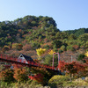 あゆのつり橋と紅葉の矢祭山