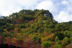 秋の矢祭山とあゆのつり橋