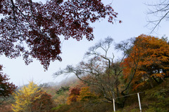 秋の矢祭山