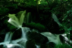 初夏の滝川渓谷