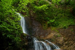 新緑と夢想滝