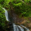 新緑と夢想滝