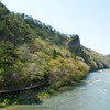 岩つつじ咲く新緑の奥久慈渓谷